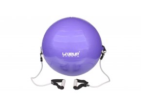 flex ls3227 gymball s expandery fialova