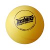 pingpong micek zlu