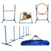 dog tutor agility prekazky merco