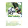 diplom fotbal 6603