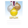 diplom univerzalni 6693