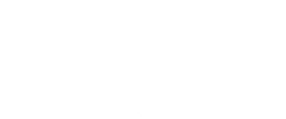 Lacelingerie