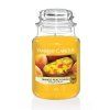 vyr 4022yankee candle svicka 623 g mango peach salsa