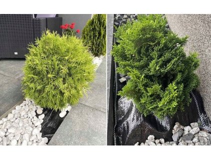 Agotkanina protiburinová PP AT9404100 70g, 0,4x100m čierna