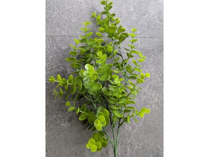 Vetvička Eukalyptus 196C 65cm