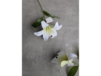 Kvet Ľalia 108A 30cm bielo zelena