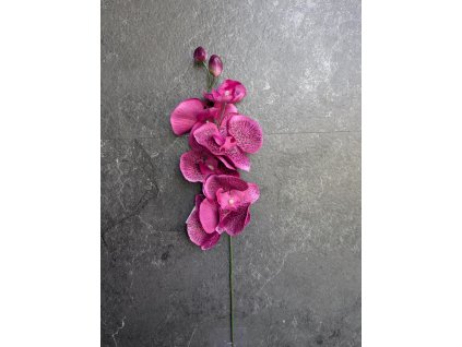 Vetvička Orchidea 212A 6 kvetov 60cm cyklamen
