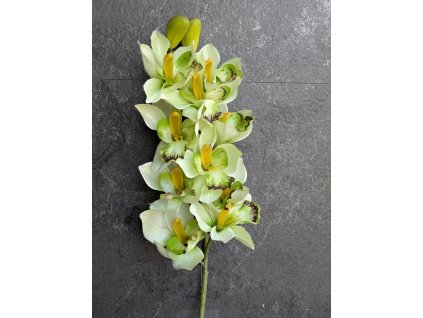 Orchidea 208A 75cm zelena