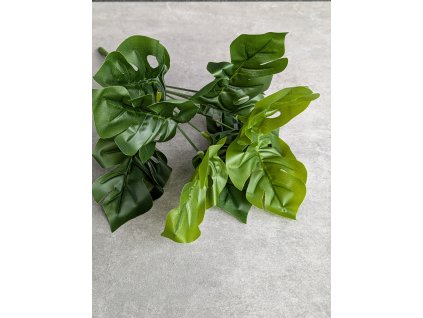 Kytička Monstera 153 9 vetvičiek