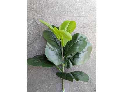 Vetvička Figa 163 9 listov 35cm