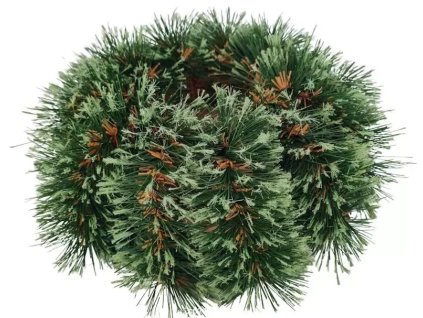 borovicový čečinový venček 30 cm
