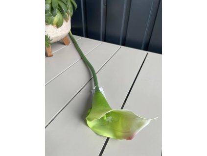 Pogumovaná KALA 2318/186 zelená 74cm