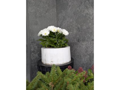 f6e6cd58 03b0 4a1a 8e18 8ab4e6af54ad