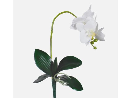 Umelá biela orchidea 50 cm s realistickým vzhľadom na dekoráciu a aranžovanie.