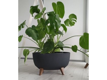 Misa Roma Jumper 430mm oval, antracit