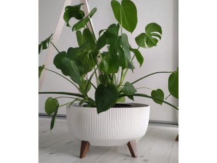 Misa Roma Jumper 430mm oval, biela