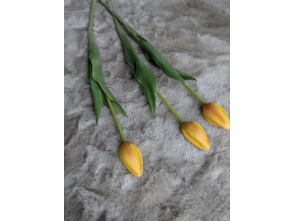 Žlto-oranžovy tulipán Prémium 40cm