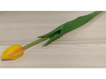 Žlto-oranžovy tulipán Prémium 40cm