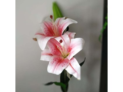 Ľalia 3450 84cm slabo-rúžová