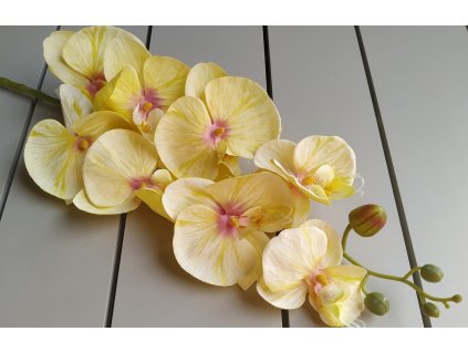 Orchidea VIP2035/10 100cm žltá