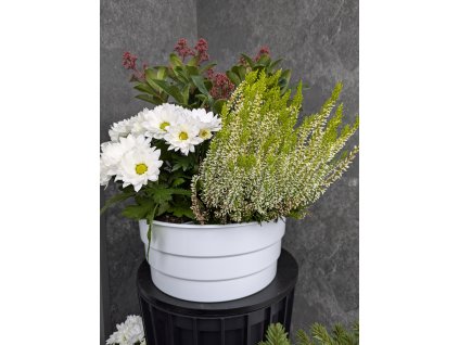 Misa na hroby Stroik 27cm biela