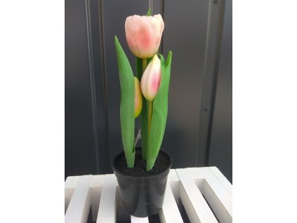 Tulipány v kvetináči CV10553-3 23cm