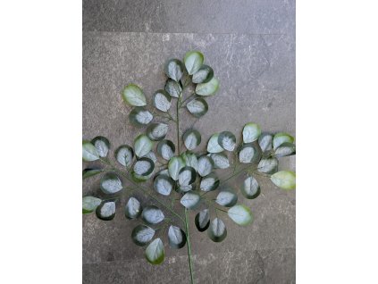 silikónový eukalyptus tmavozelený-bielený