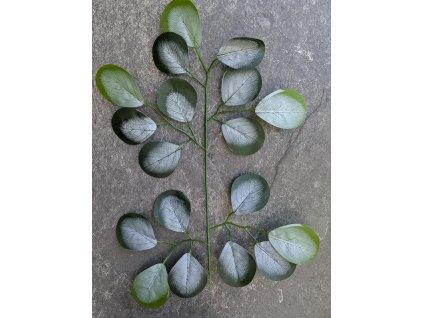 Vetvička silikón Eukalyptus 25x34cm bielena