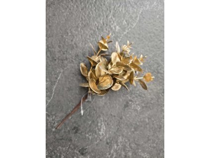 Mini vetvička eukalyptu 117 zlatá 20 cm