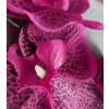 Vetvička Orchidea 212A 6 kvetov 60cm cyklamen