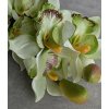 Orchidea 208A 75cm zelena