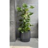 Kvetináč s vkladom MILLY DBMIN300 antracit 29,8cm