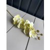 Vetvička orchidea 638L-02 žlto-zelená 75cm