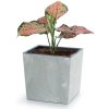 Kvetináč URBI SQUARE LOW EFFECT DURS240LE 24cm antracit