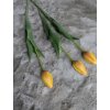 Žlto-oranžovy tulipán Prémium 40cm