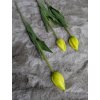 Žltý tulipán Premium 40cm