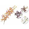 Umelá orchidea 03945 oranžovo ružová 108cm