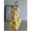 Orchidea VIP2035/10 100cm žltá