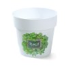 Prosperplast kvetináč s podtlačou DML160H3, bylinky