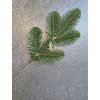 Mini vetvička Jedľa 100% Pe 20cm
