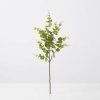 Vetvička eukalyptus 45 cm 072