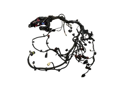 Fotogaléria 20240618 104634