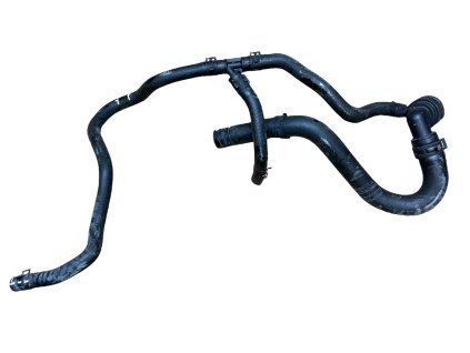 Fotogaléria 20240722 152439