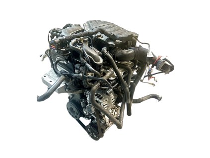 Fotogaléria 20250207 144049