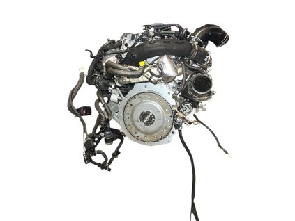 Fotoroom 20250925 101732