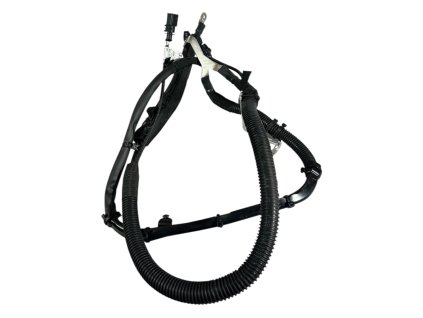 Fotoroom 20260108 105023