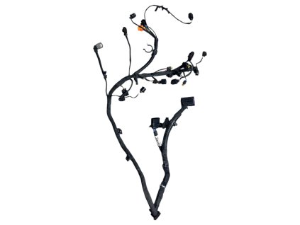 Fotoroom 20260119 105541