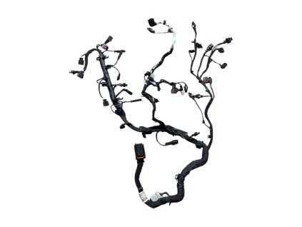 Fotoroom 20260119 100520