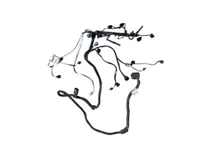 Fotoroom 20260120 102630