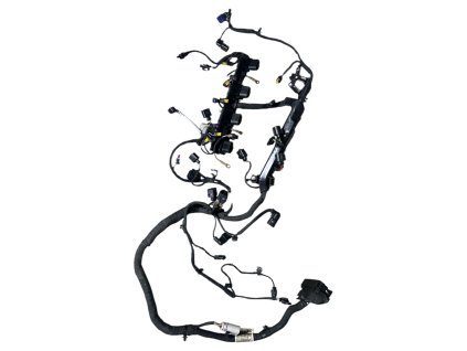 Fotoroom 20260120 110755